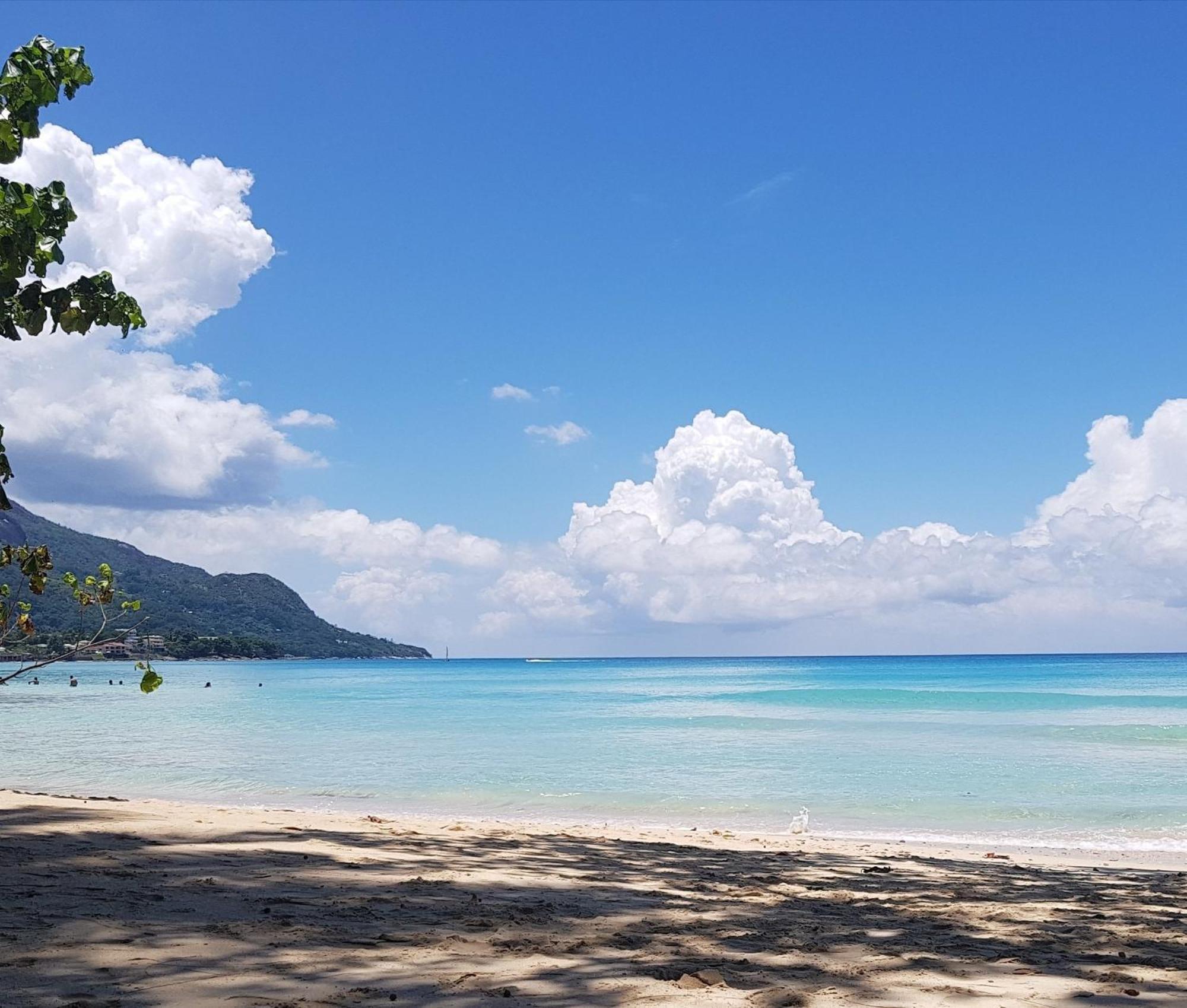 Alpha & Omega Apartment Seychelles Beau Vallon  Exteriör bild